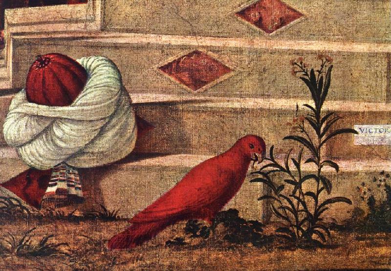 Baptism of the Selenites (detail) sdf, CARPACCIO, Vittore